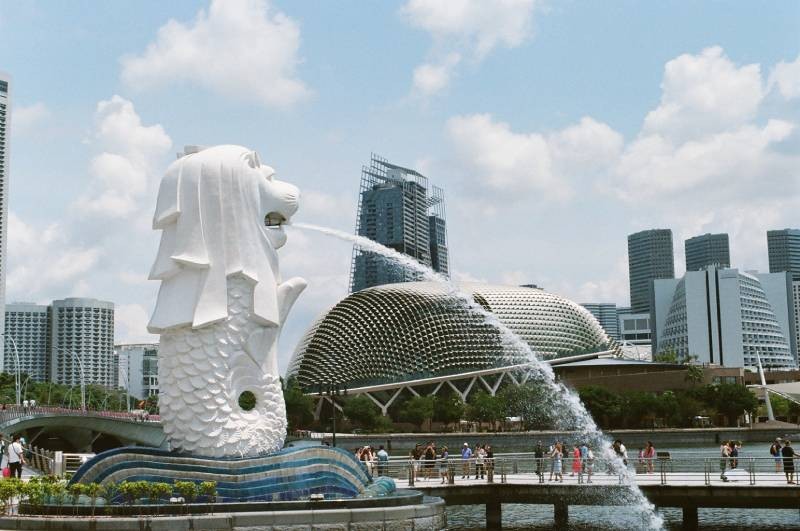 Singapore Classic City Tour: Explore with a Local Guide!