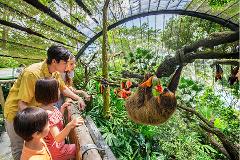 Singapore Zoo, Mandai Wildlife Reserves