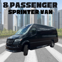 8 Passenger Sprinter Van 