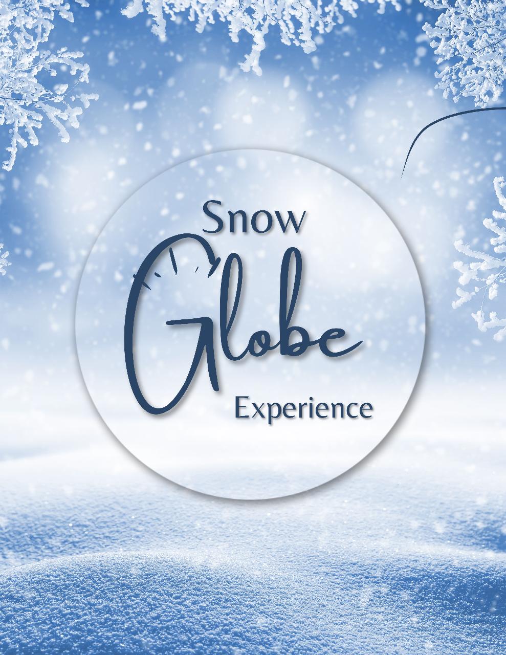 Snow Globe Experience