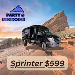 Sprinter - 14 passenger