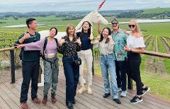 RELAXED | Half-Day Yarra Valley Wine Tour from Melbourne 