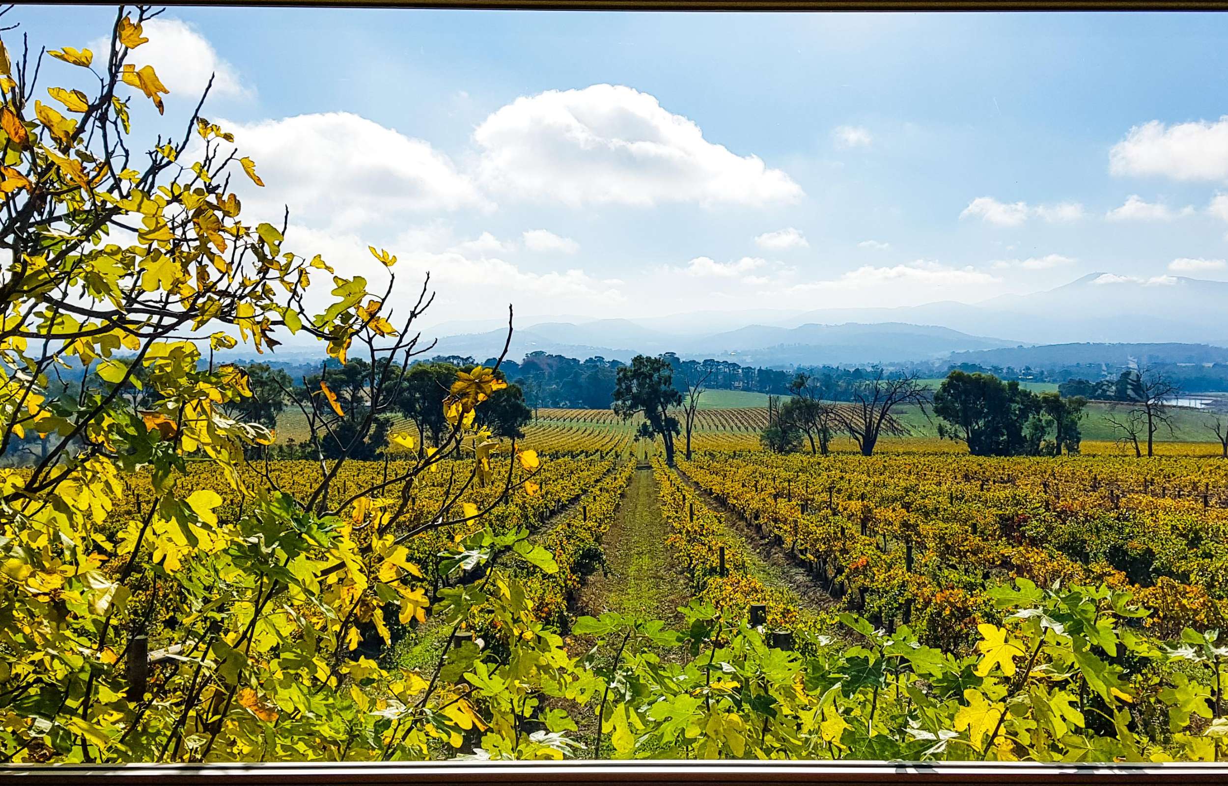 HAPPY GIRLS & BOYS |