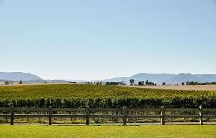 WINE LOVERS | Yarra Valley Wines Food & Wine Tours