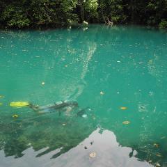 Single Shore Dive - Blue Hole