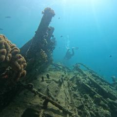 Single Shore Dive - Million Dollar Point 