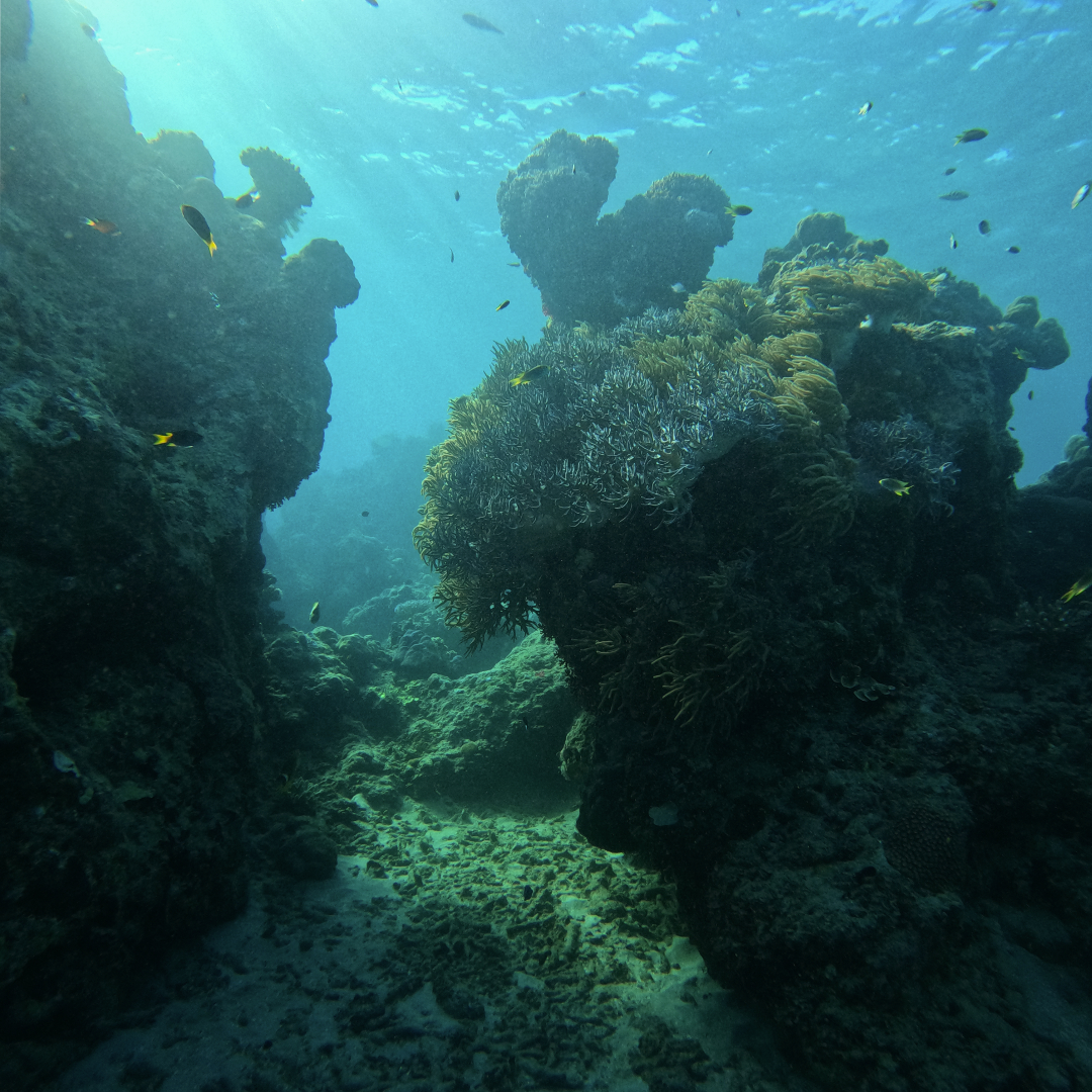 Underwater Walk