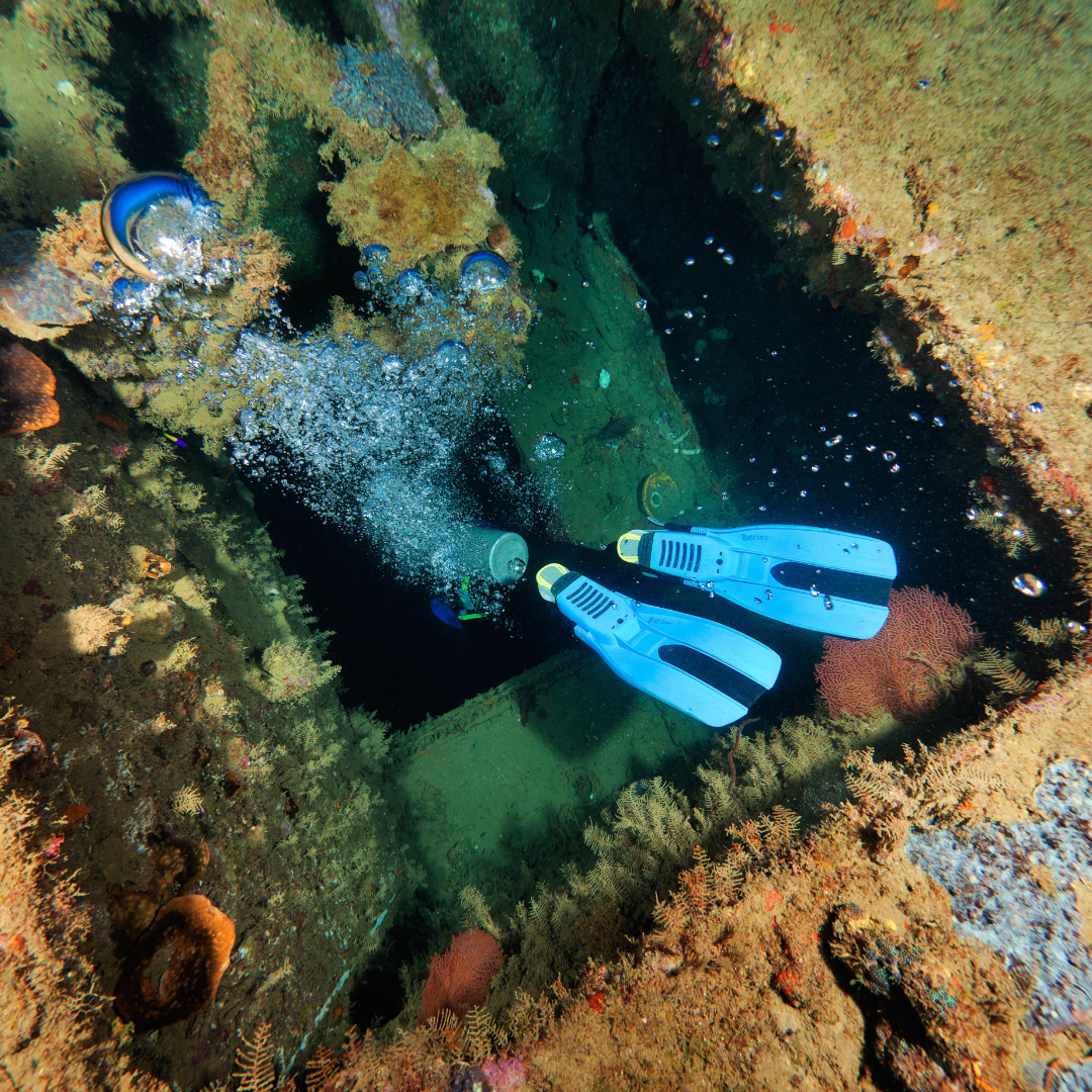 Wreck Course