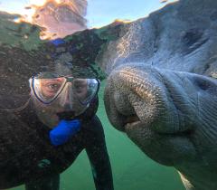 Swim With Manatees - Semi-Private Tour With In-Water Guide/Photographer