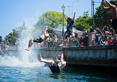 Dunedin - Kids Manu 11:00am - Max 2 entries per booking. Must be 8yrs + on 4 April 2027