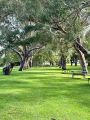 Yanchep National Park Hire - Site 5 - Yandi Avenue  (approx 20m x 20m)