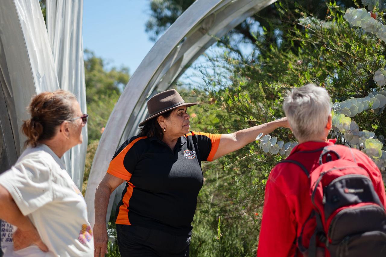 Mooro Katta Gar-Up | Kings Park Cultural Tour