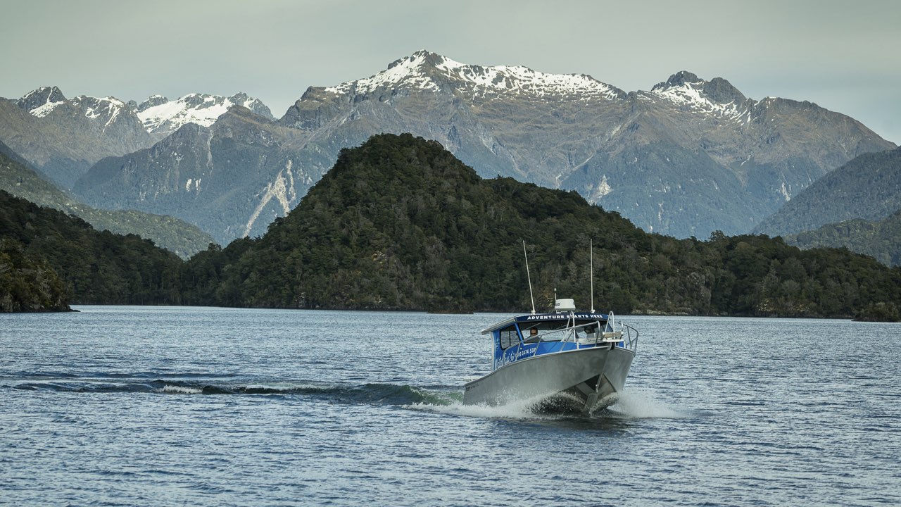 Milford Sound to Te Anau Downs (One Way) Bus Transfer