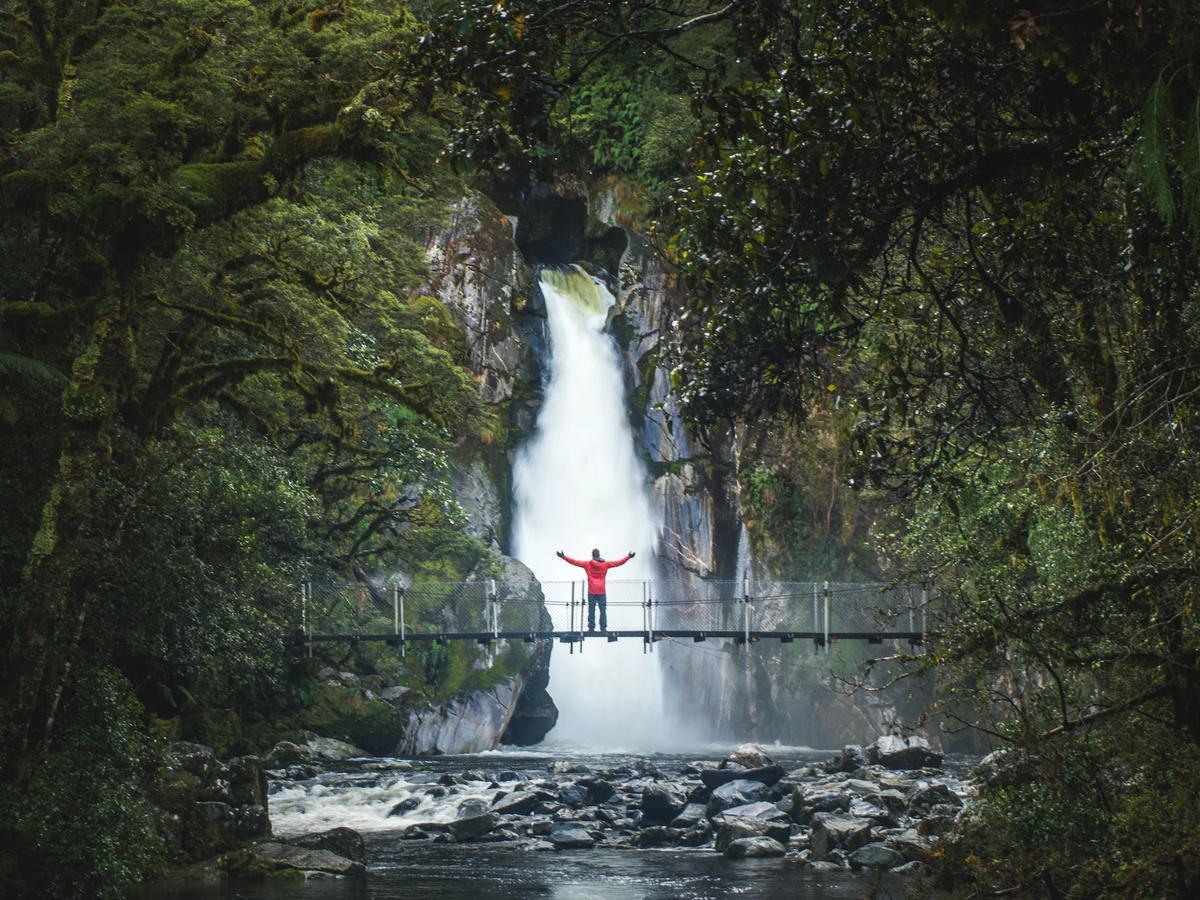 Milford Experience Package  