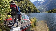 Milford Sound to Te Anau (One Way) Bus Transfer