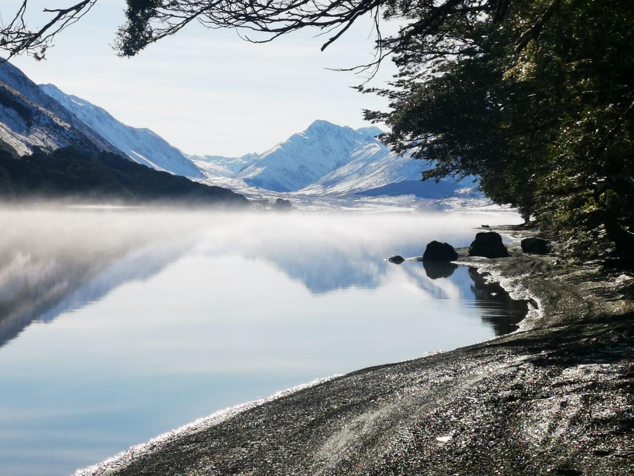 Te Anau Downs to Te Anau (One Way) Bus Transfer 