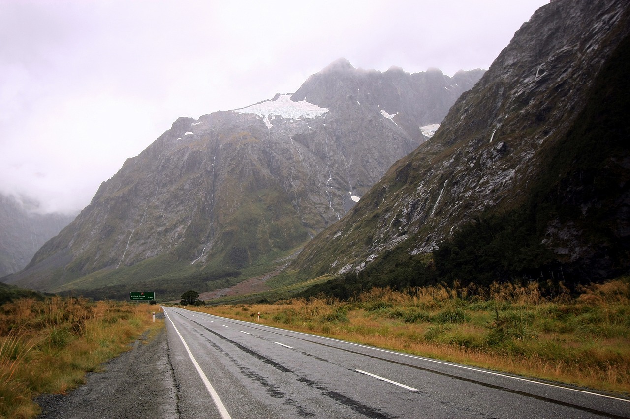  Milford Sound to Divide by Bus Transfer (One way)