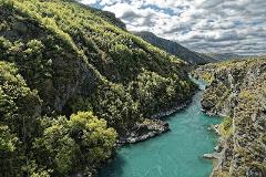 Te Anau to Divide (One Way) Bus Transfer 