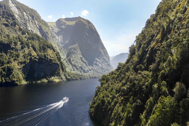 Doubtful Sound Day Tour & Cruise - Te Anau Departure