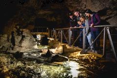 Te Anau Glowworm Caves - Te Anau Departure