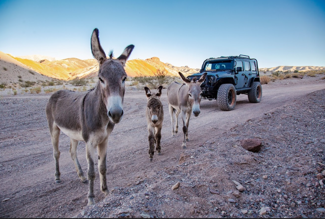 Off-road Desert Adventure: Secrets of the Old West