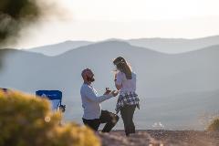 The Perfect Proposal