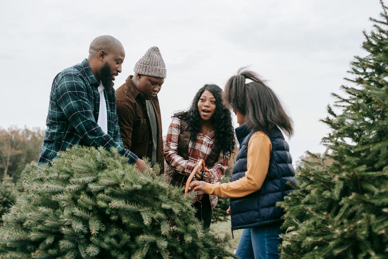 Evergreen Express – Caliente Holiday Tree Experience (DIY JEEP)