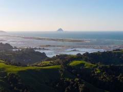 Helicopter Scenic Flight via Rotorua or Tauranga 