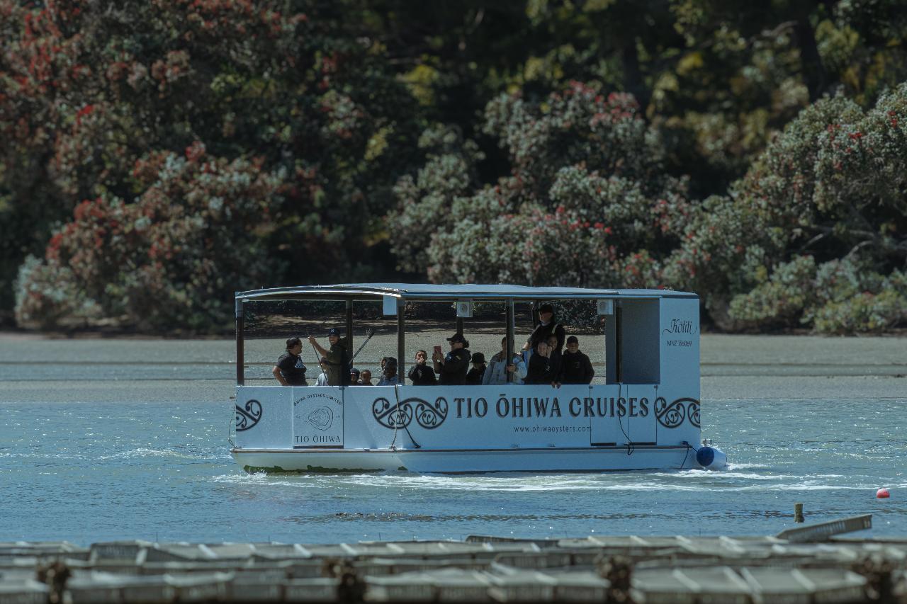 Ōhiwa Shuck 'n' Cruise Experience