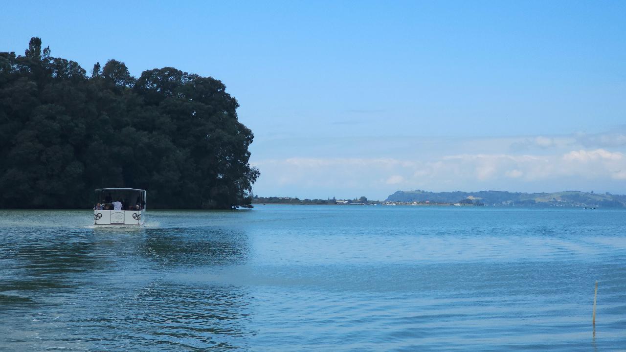 Ōhiwa Harbour Cruise