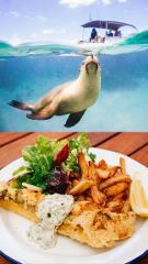 Sea Lion & Dolphin Tour: SWIMMING with Lunch included