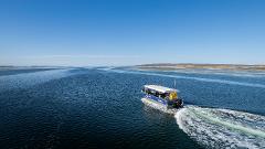 Marine Safari Sea Lion & Dolphin Tour: SIGHTSEEING and Lunch 