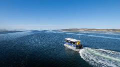 Sea Lion & Dolphin Sightseeing Tour 