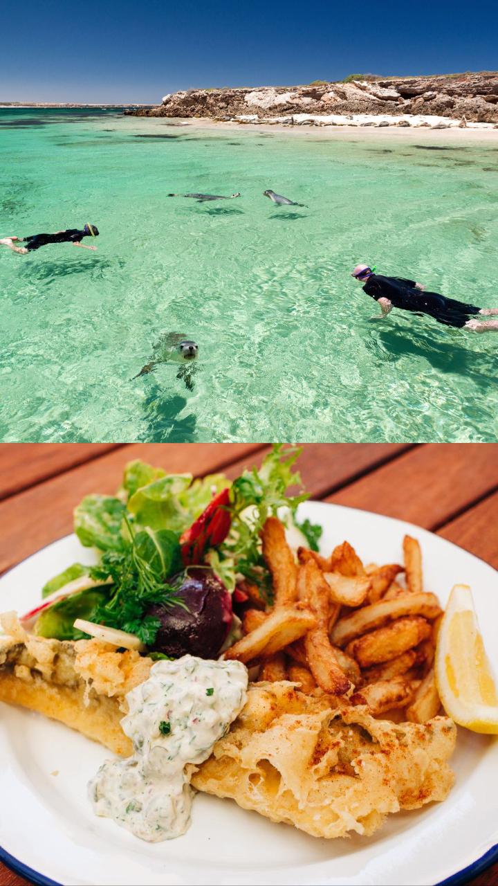 Sea Lion & Dolphin Tour: SIGHTSEEING with Lunch included