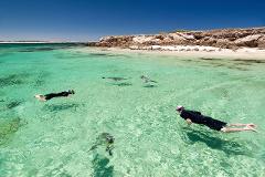 Sea Lion & Dolphin Tour: SIGHTSEEING