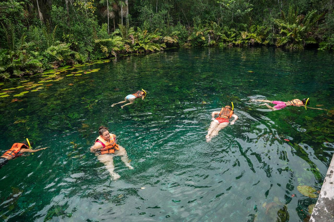 Getaway to Playa del Carmen with a Private Cenote Tour