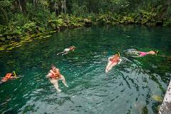 Getaway to Playa del Carmen with a Private Cenote Tour