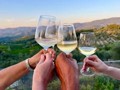 Adelaide Hills Sparkling & White Wine Lovers Tour