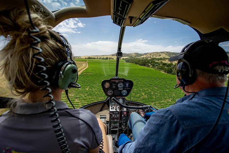 Henschke Hill of Grace Scenic Flight and Vineyard Experience