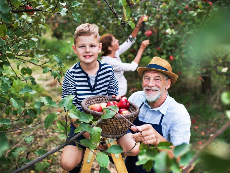 Interactive Aussie Wildlife & Fruit Picking Experience