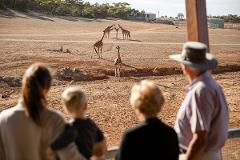 City to Safari: Monarto Safari Park Family Adventure