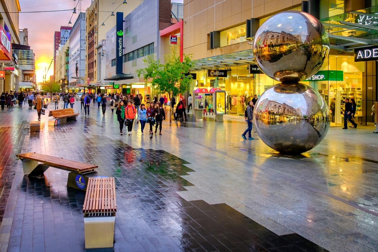 Adelaide City Highlights: Tour, River Cruise & Lunch 
