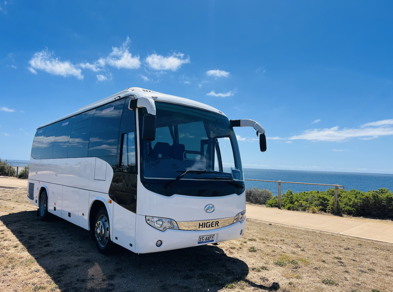 Day Dance Festival - McLaren Vale Premium Transfers