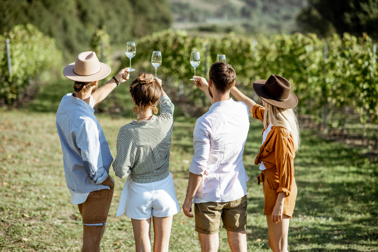 Clare Valley Picnic and Wine With Friends