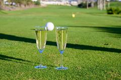 Full Day Wine Tour in McLaren Vale l LIV Golf Adelaide 2025
