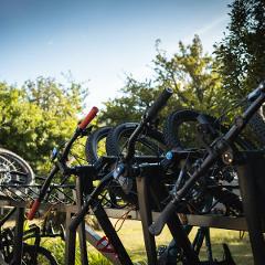 Mountain Bike Shuttle - Lake Mountain 