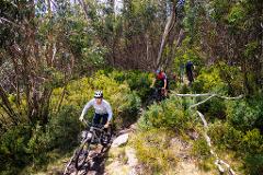 Cascades Mountain Bike Shuttle - Weekday Session