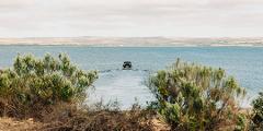 Louth Bay to Louth Island Return Sealegs Ferry Transfers 