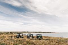 Guided Island Buggy Tour