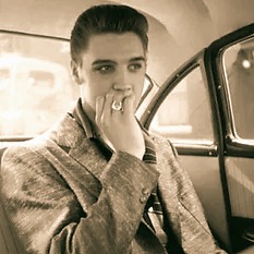 Elvis: Outside Of Graceland Car Tour